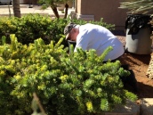 Steve Gardening with Hip